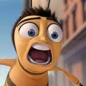 Meet your Posher, Kylie